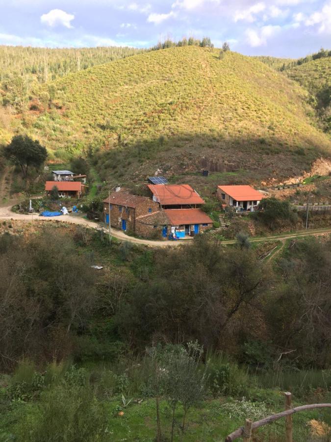 Cottage Vivenda Festina Lente Figueiro Dos Vinhos Exterior foto