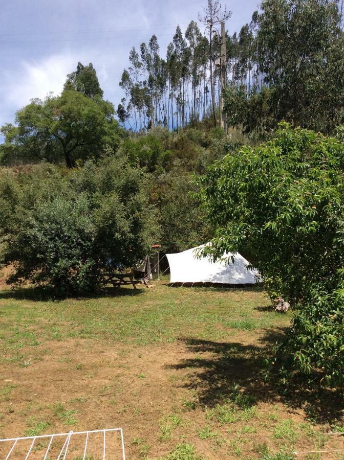 Cottage Vivenda Festina Lente Figueiro Dos Vinhos Exterior foto